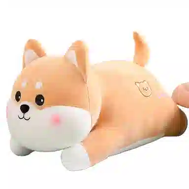 50cm60cm