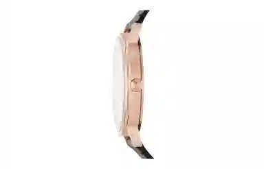 Emporio Armani AR80015