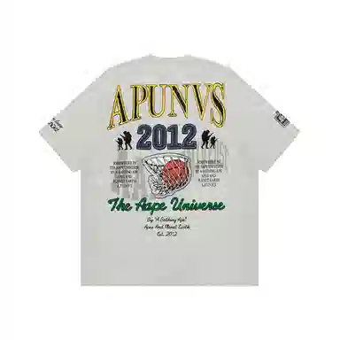 Aape T