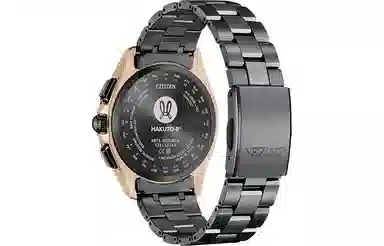 CITIZENHAKUTO-R 100m 42mm