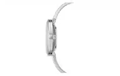 SwarovskiSwarovski 5580537