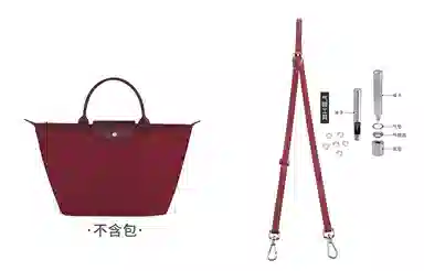 longchamp
