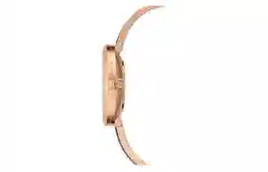 SwarovskiCrystalline Delight Swarovski 5580530