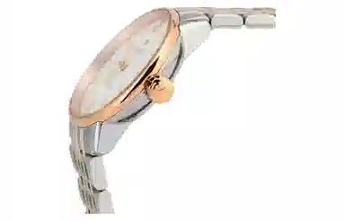 RADO 31.8mm R22862027