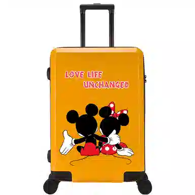 MESUCA ABS+PC 20242622