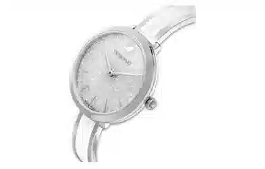 SwarovskiSwarovski 5580537