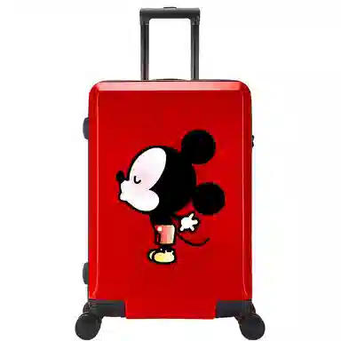 MESUCA ABS+PC 20242622