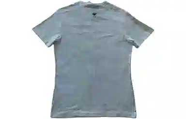 DIOR T