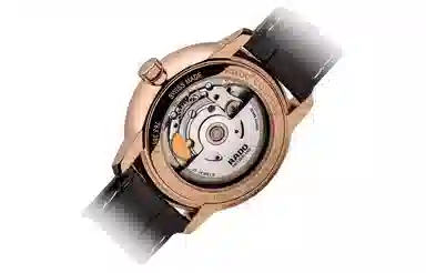 RADO 50 31.8mm R22865065