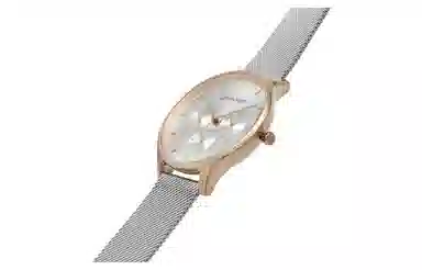 CKCalvin Klein 25200106