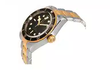 TUDOR 41mm M79733N-0008