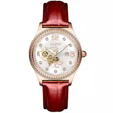 GAIDU Simple Luxury Women's Watch