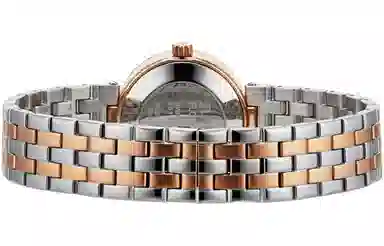 RADO 28mm PVD PVD R48900733