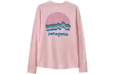 patagonia T