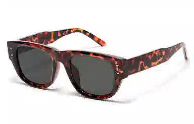 Kenmore Retro Y2K Sunglasses