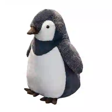 25cm35cm50cm