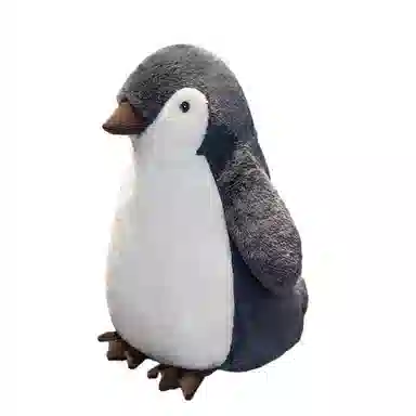25cm35cm50cm