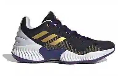 adidas Pro Bounce 2018 Black Gold