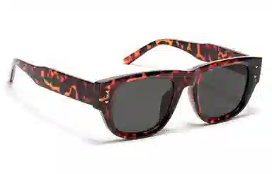 Kenmore Retro Y2K Sunglasses