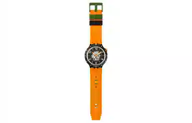 SWATCH 30 47mm