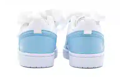 Nike Court Borough Low 520