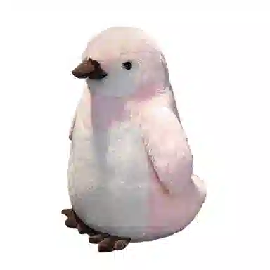 25cm35cm50cm