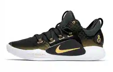 Nike Hyperdunk X Low Black Gold