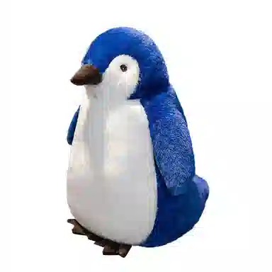 25cm35cm50cm