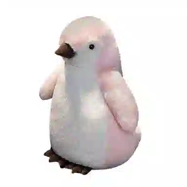 25cm35cm50cm