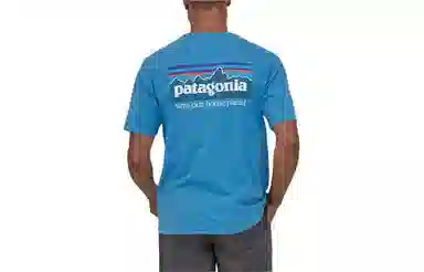 patagonia P-6 Mission Organic T-shirt LogoT