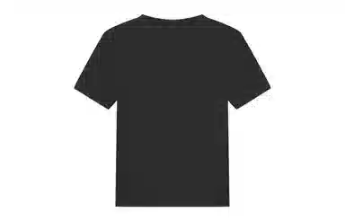 Champion SS23 Premium T