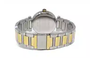 COACHCARY 34mm 30 14503833