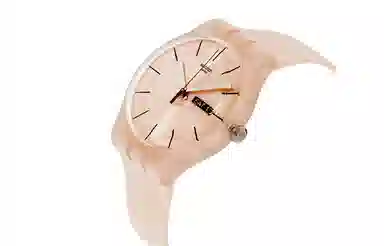 SWATCHORIGINALS 41mm SUOT700