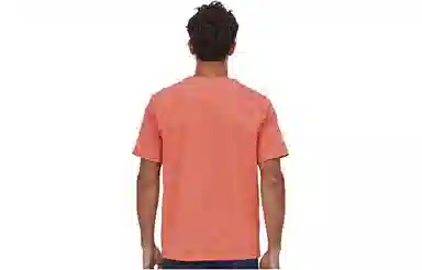 patagonia T