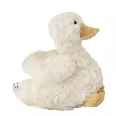 20cm