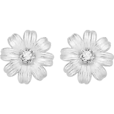 narcii 925