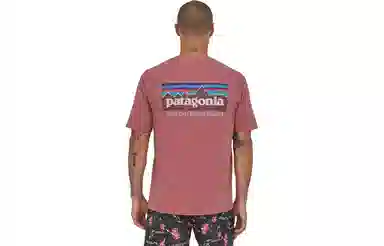 Patagonia P-6 Mission Organic T-shirt