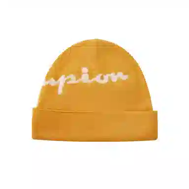 Champion Beanie