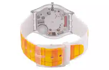 SWATCH SWATCHxSUPRIYA LELE 34mm SS08Z105