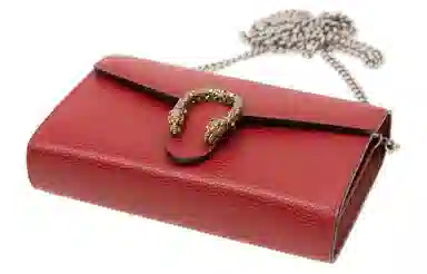 GUCCI Dionysus