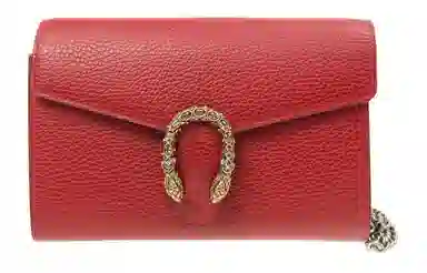 GUCCI Dionysus