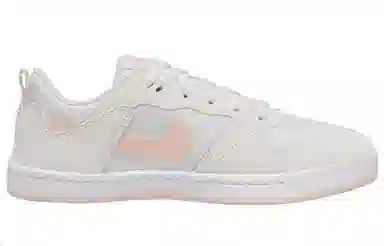 Nike SB Alleyoop Low