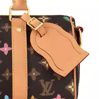 LOUIS VUITTON x Tyler keepall 25