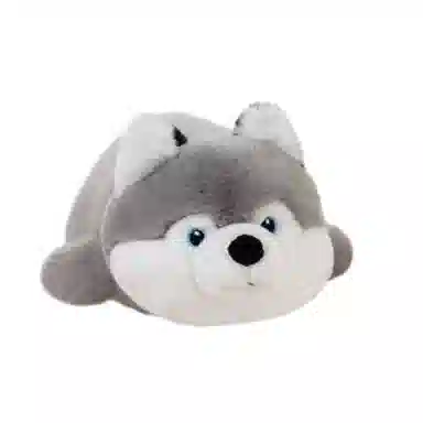 Q