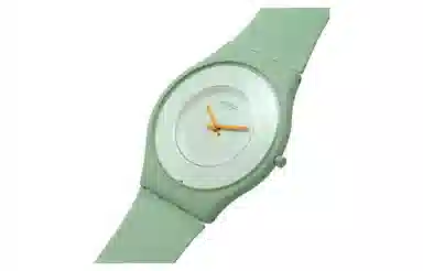 Swatch Skin SS09G101