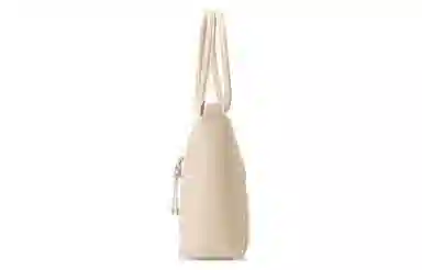 Samsonite Tote Bag Beige