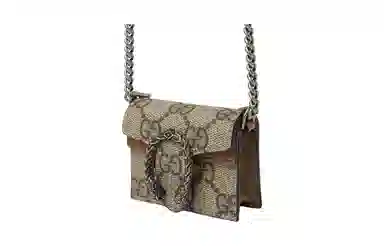 GUCCI Dionysus AirPods