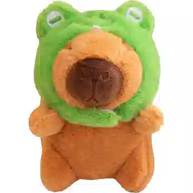 12cm