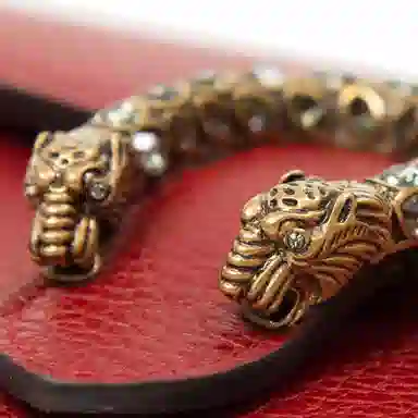 GUCCI Dionysus