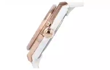 Casio Baby-G MSG-S500G-7A2PR